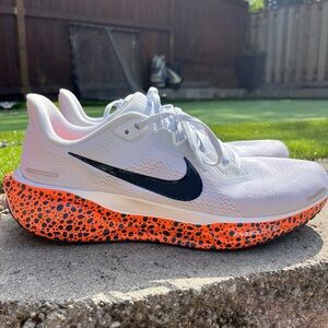 Air Zoom Pegasus 41 Oly